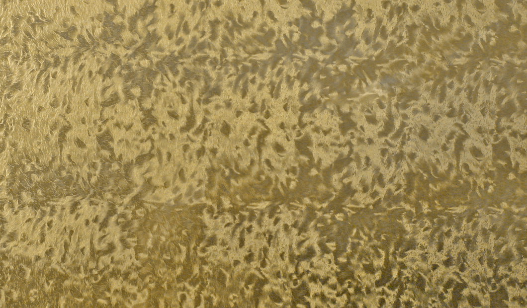 Pickguard Sheet Gold Florentine