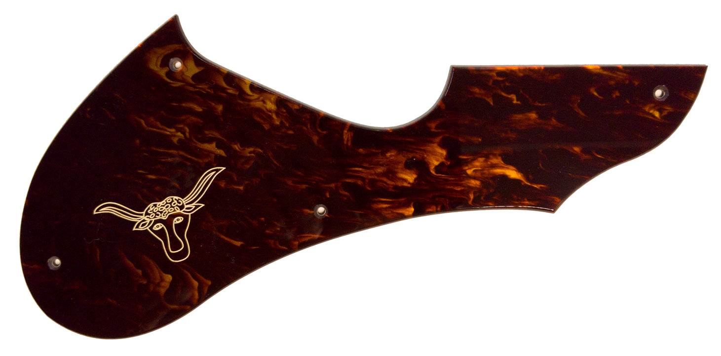 Gretsch 6022 Rancher 1955 Pickguard Acrylic Tortoise Shell – Quick