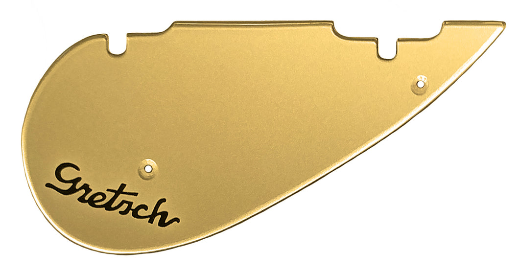 Gretsch 6228 Players Edition Gold Pickguard